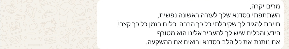 המלצה 1